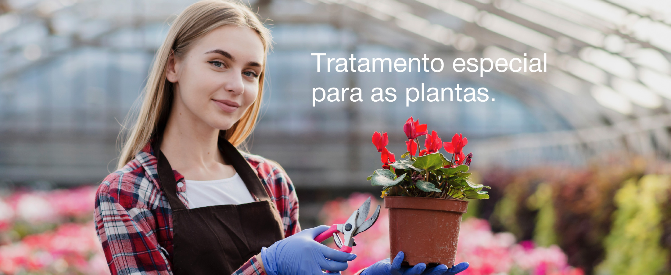 Tratamento especial para plantas