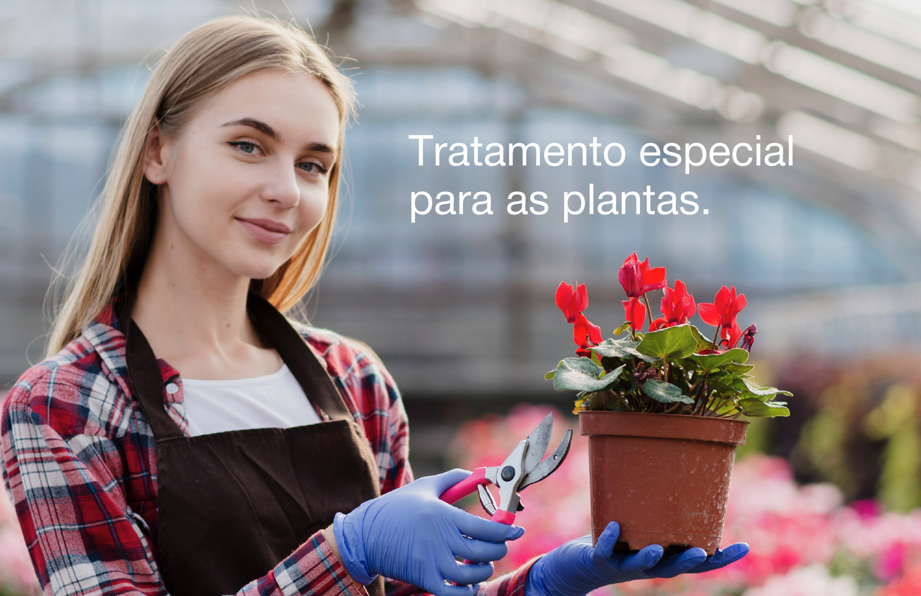 (c) Favoritasubstratos.com.br